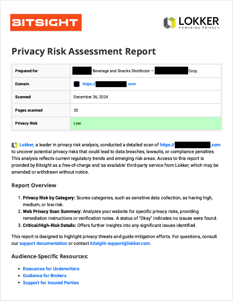 Bitsight and Lokker report - Privacy Risk Assessment Report cover