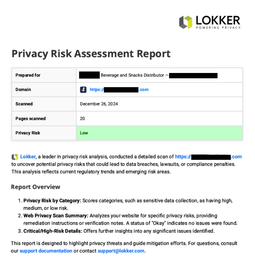 Lokker report - Privacy Risk Assessment Report cover